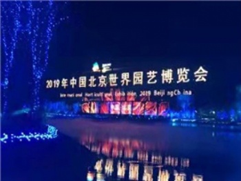 Flexible LED Mesh Screen