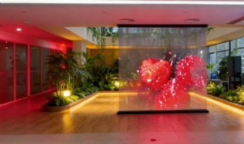 LED crystal film display